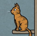 A Cat's Curiosity - Part 2