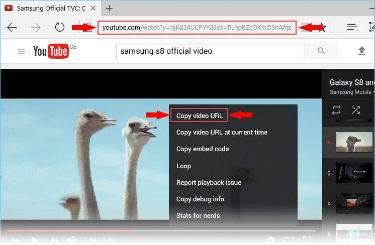 1. Copy Video URL